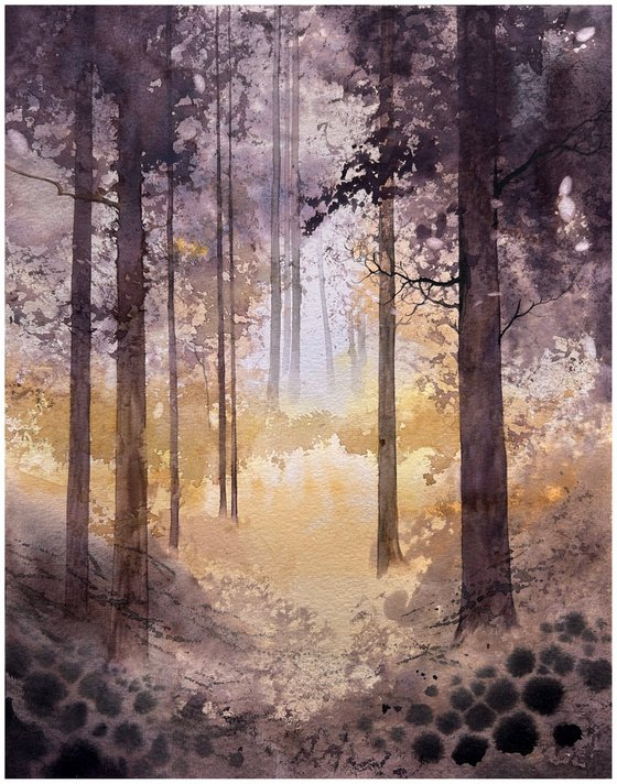 Warm Morning Forest