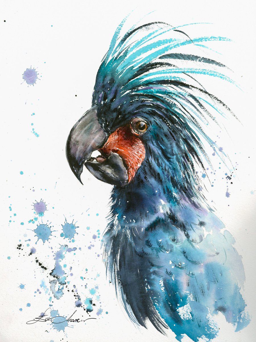 Parrot by Eve Mazur