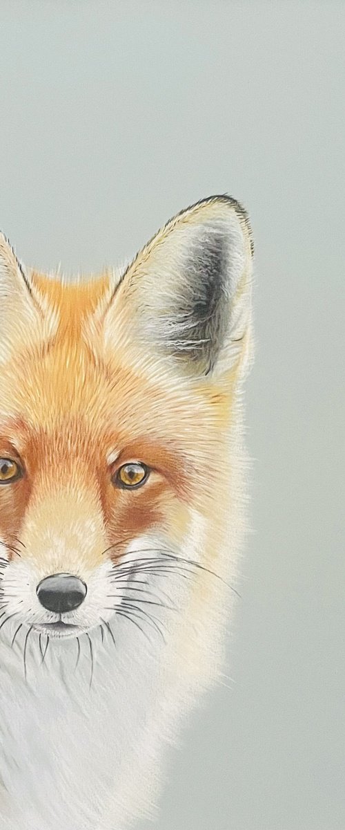 The Fox. by Jo P