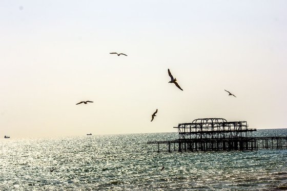 Brighton THE original pier (Limited edition  1/50) 12X8