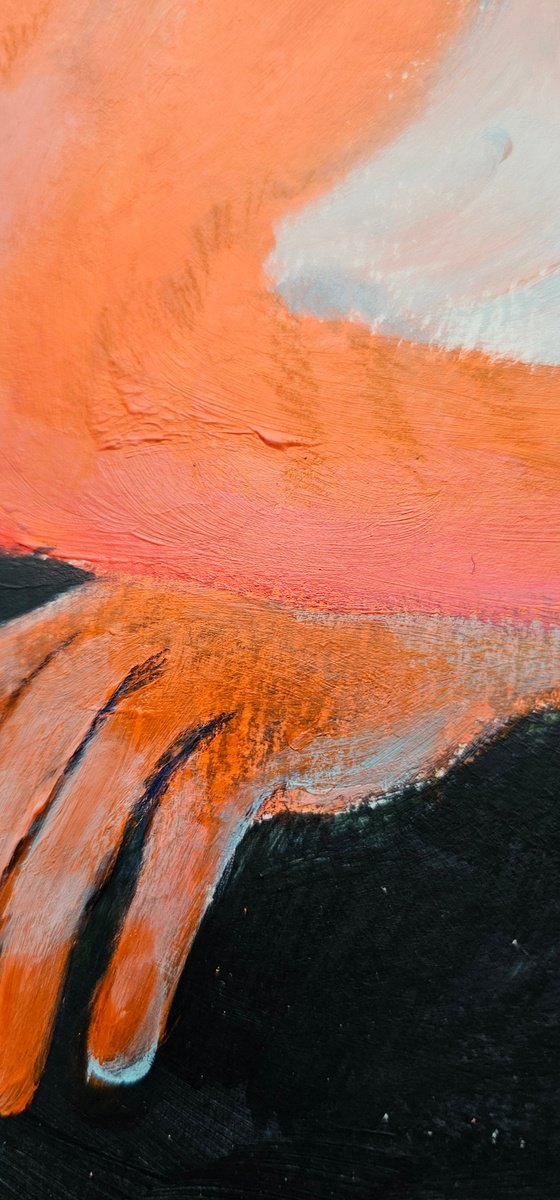 Orange ginger cat portrait on black