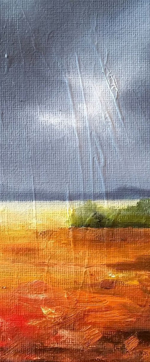 Red and Storms by Katrina Case