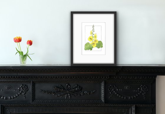 Flowers original watercolor - Yellow mallow illustration - Floral mixed media drawing - Gift idea