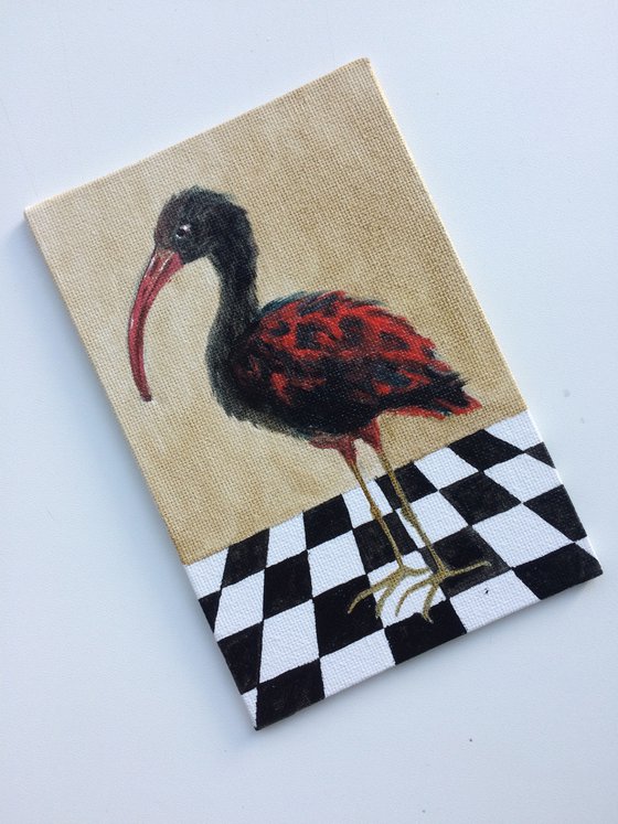 Bird portrait of black Ibis on a chessboard - Gift idea for bird lover