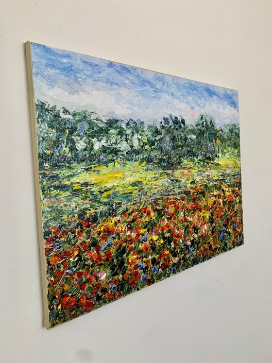 Poppy field