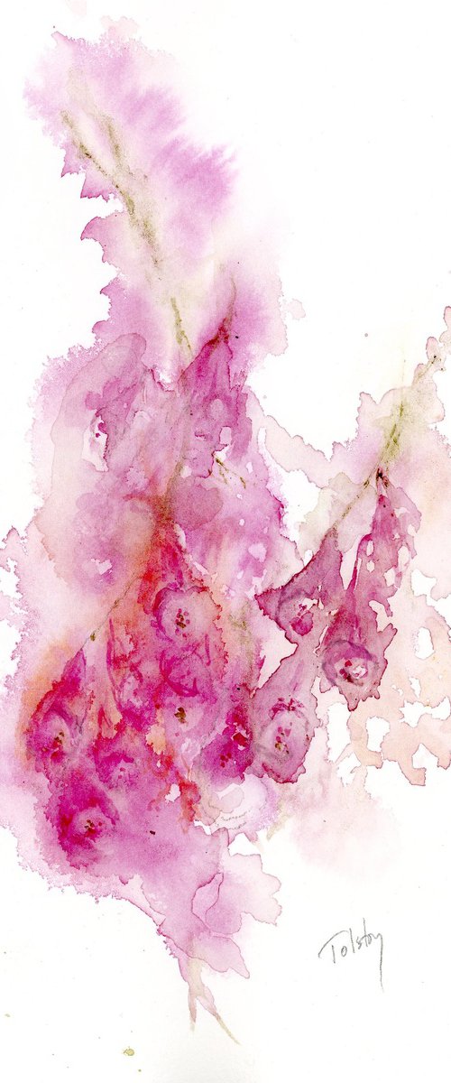 Foxgloves in Pink by Alex Tolstoy