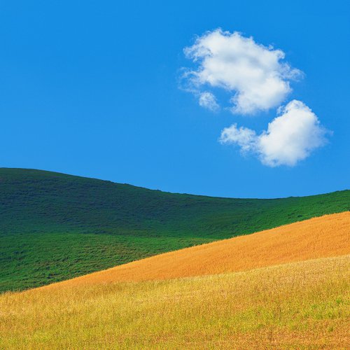Abstract Tuscany - Hommage to Franco Fontana by Peter Zelei