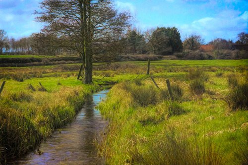 The Stream in the Meadow by Martin  Fry