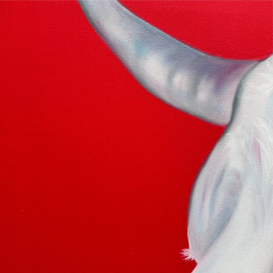 White cow
