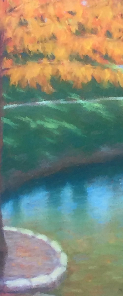 Autumn Cypress Tree by Michael Gillespie