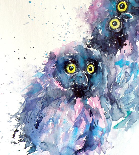 Owl chicks