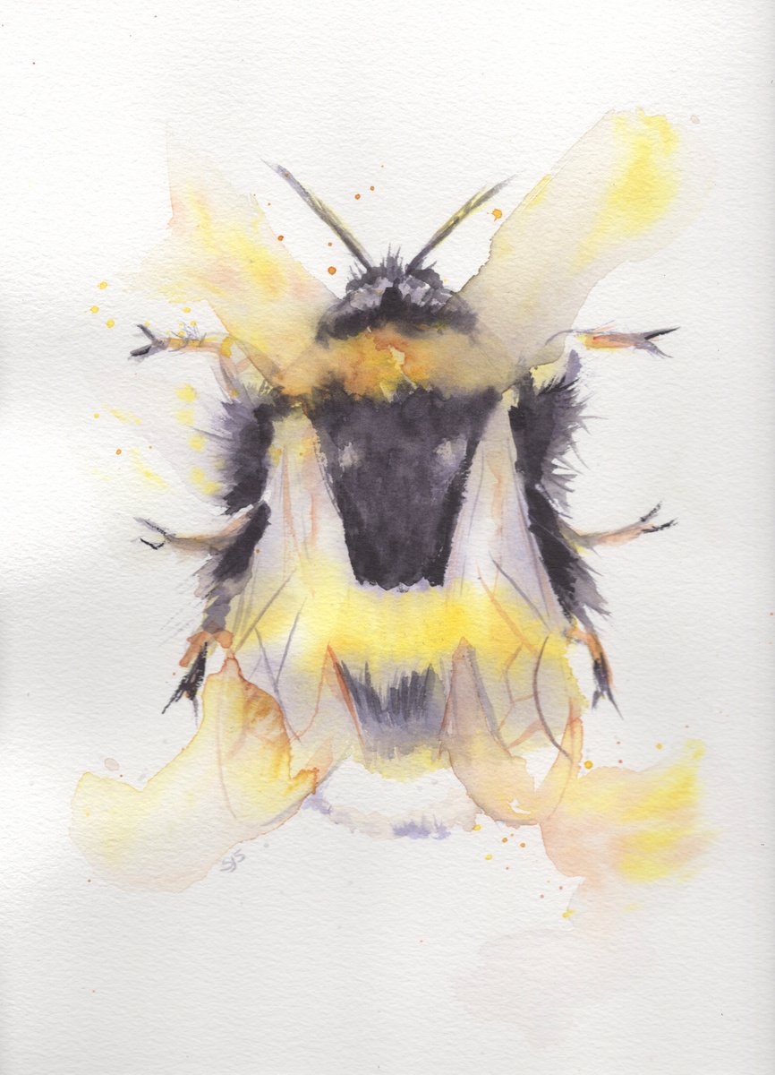 Watercolour Bee 2 by Sarah Stowe