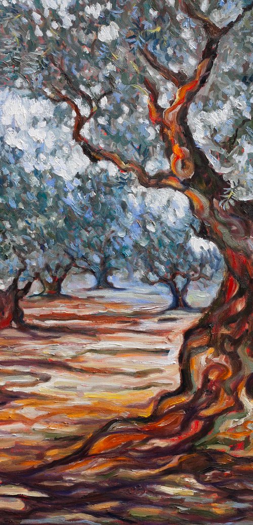 Olive Grove by Liudmila Pisliakova