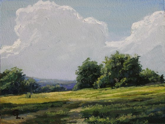 Summer day. 20x15 cm. Original painting. For a gift.