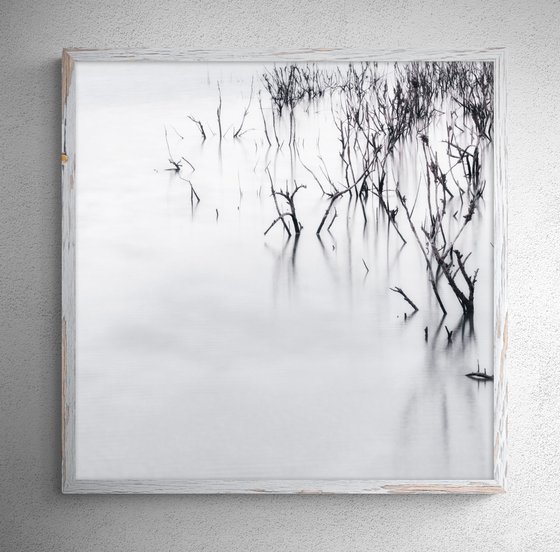 White Italian Scape #2