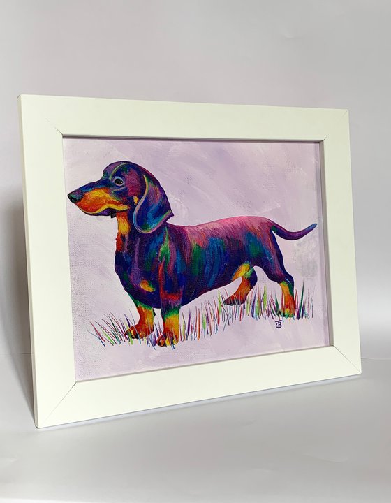 Rainbow Dachshund