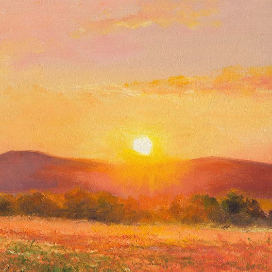 Golden sunset among wildflowers