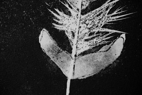 FEATHER large original hand printed etching