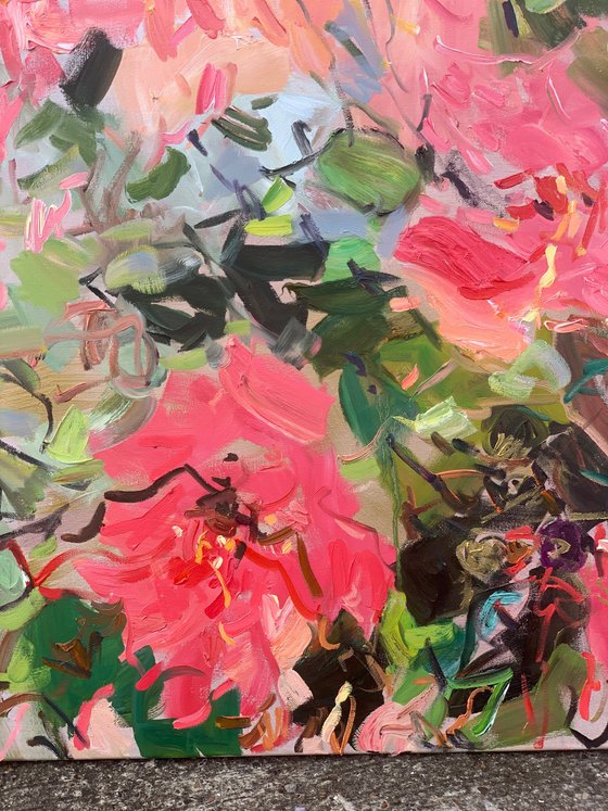 Garden of roses