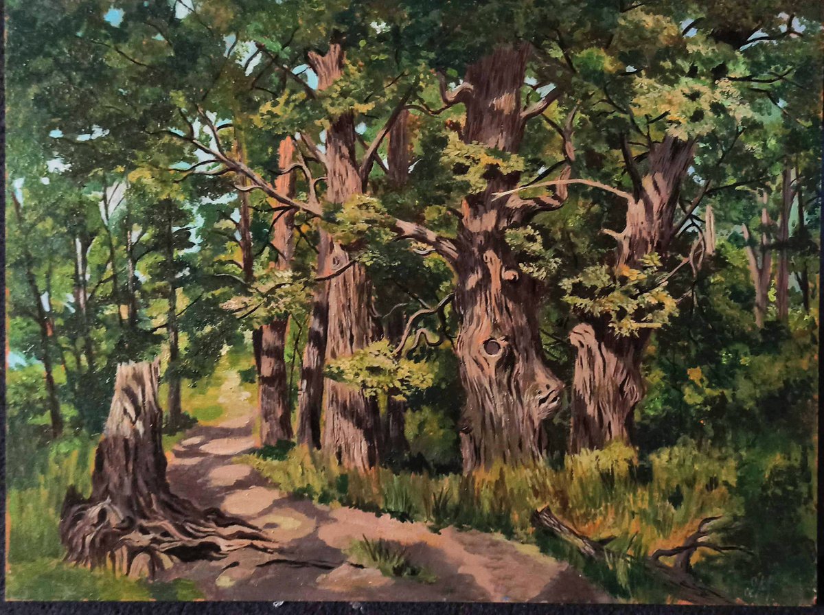 Photorealistic Landscape Acrylic Painting By Laura Muolo, 16 X 12", "Fitto Boschetto ", Original Artwork