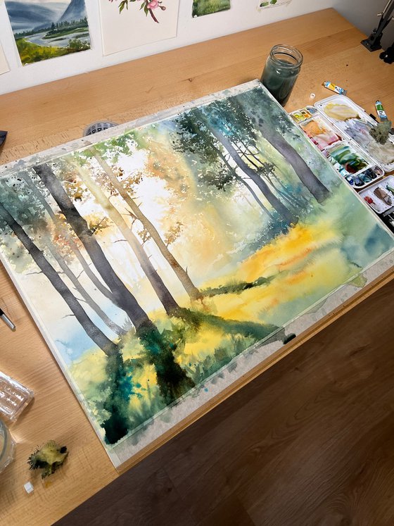 Misty Morning Forest