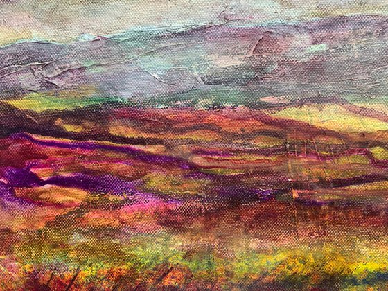 Scottish Heather Landscape