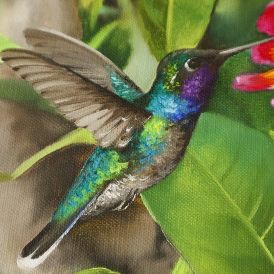 Tropical Hummingbird