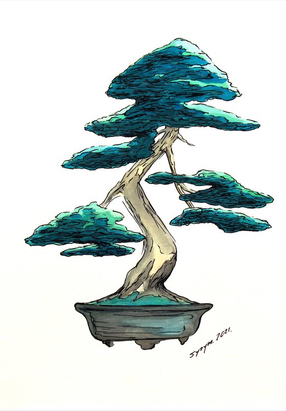 BONSAI XIII