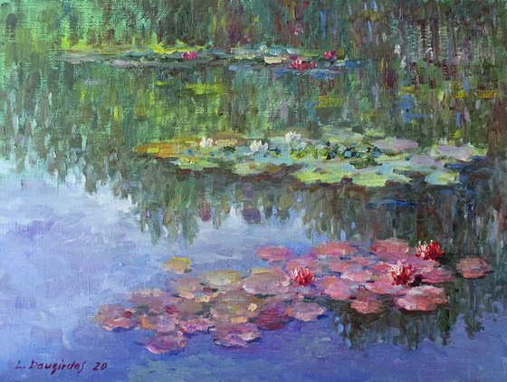 Water lilies in the pond