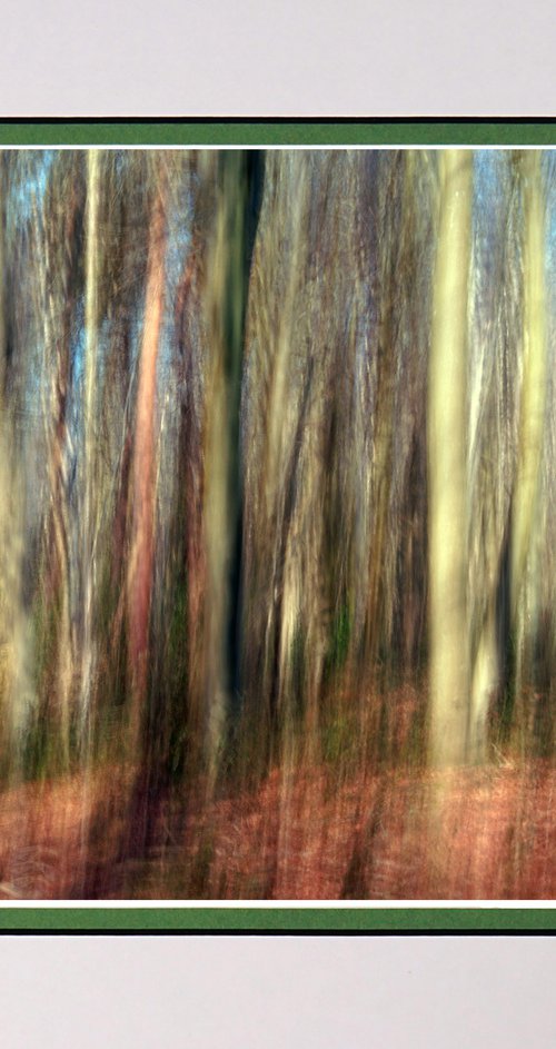 Deep in the Forest three with ICM Photography by Robin Clarke