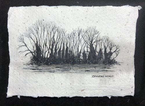 Winter Trees against the Sky in Pen and Ink - Traditional English Landscape -  Flitcham, Norfolk by Catherine Winget