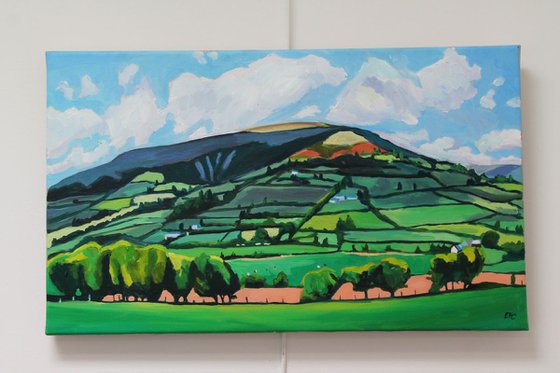 A Patchworked Skirrid