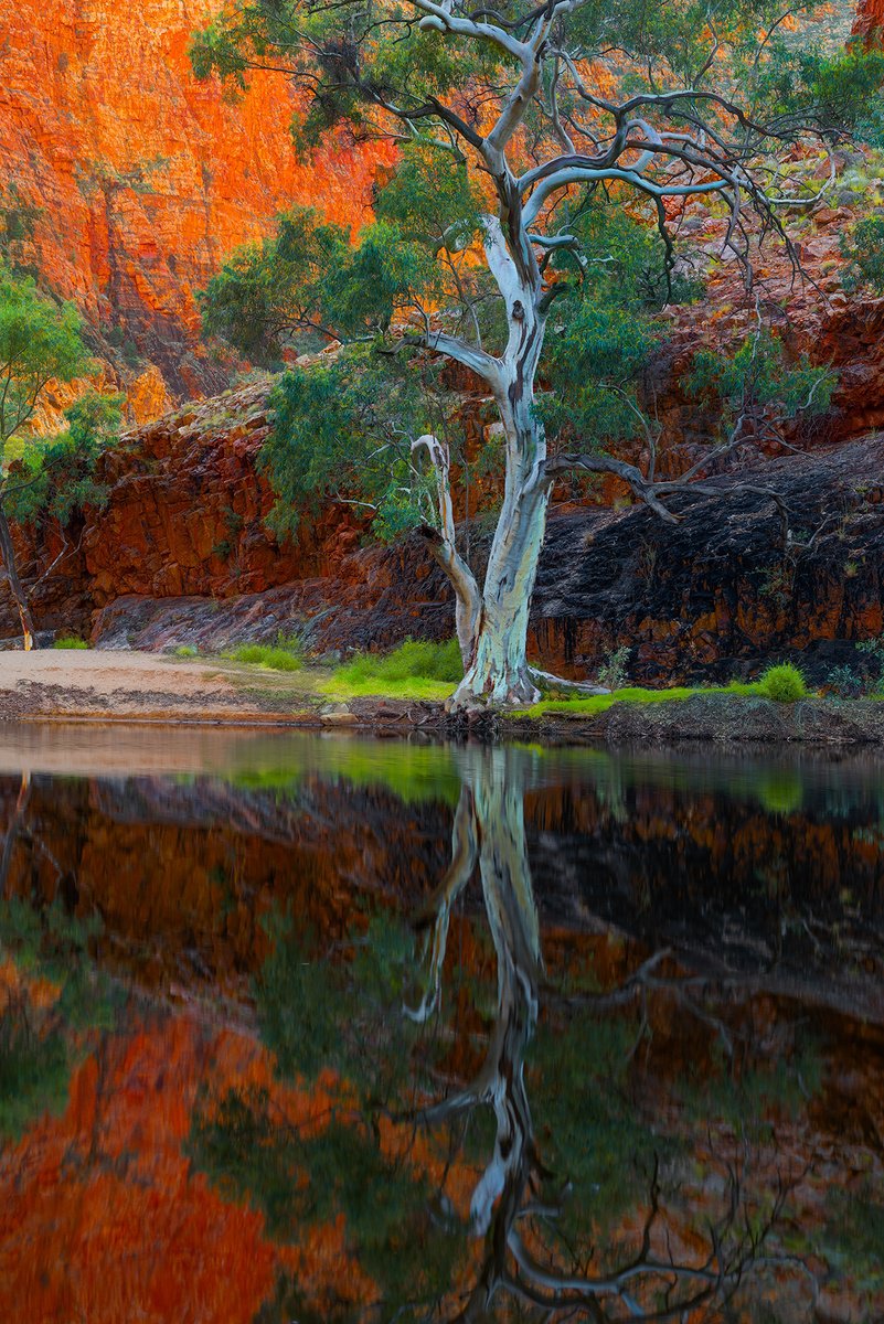 Photorealistic Landscape Photograph By Nick Psomiadis, 24 X 35", Kwartatuma Rivergum, Original Artwork