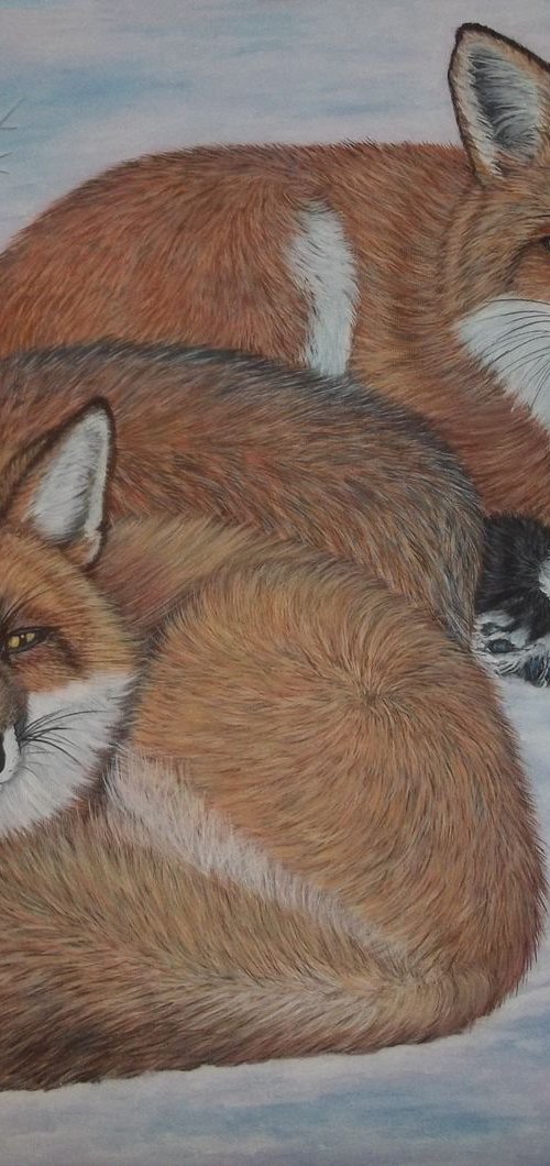 Stay warm by Sofya Mikeworth