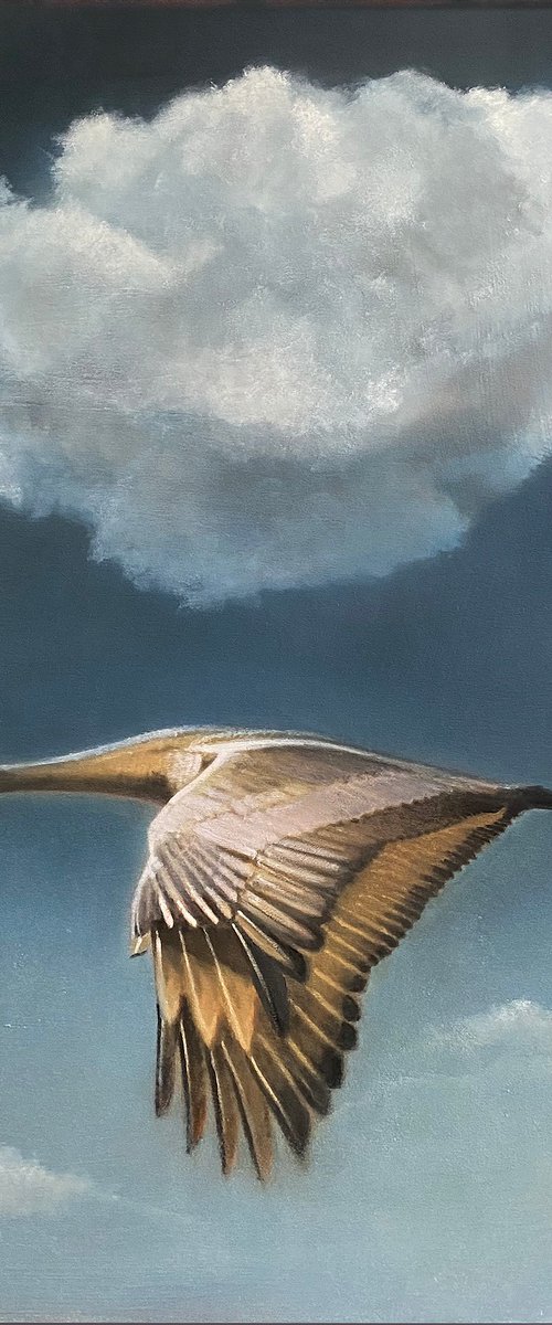 The Cloud and the Crane by Bruce Dean