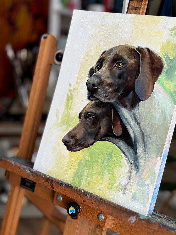 German Shorthaired Pointers