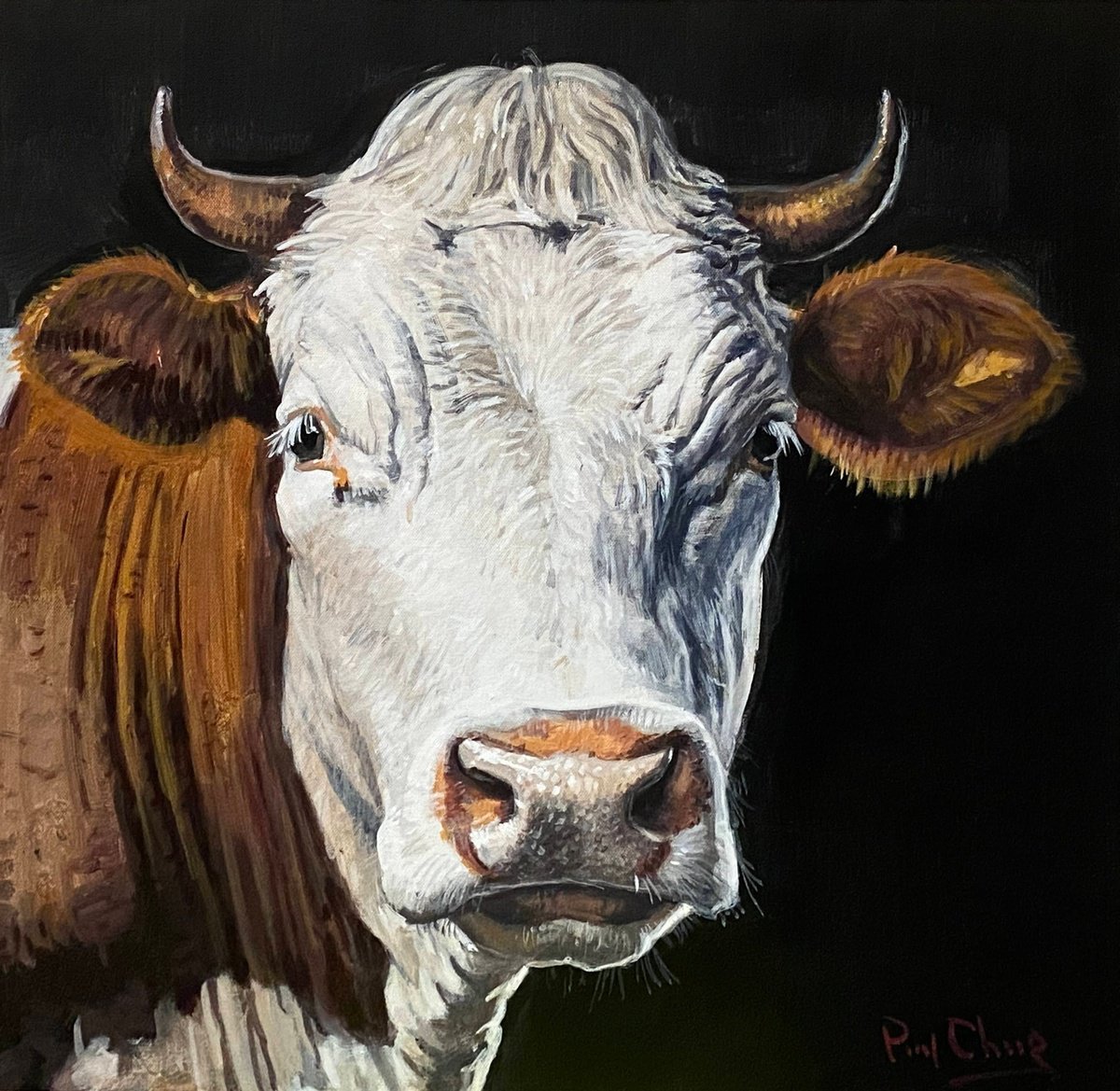 Cow Portrait by Paul Cheng