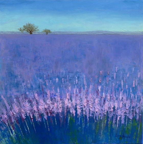 Lavender Impression