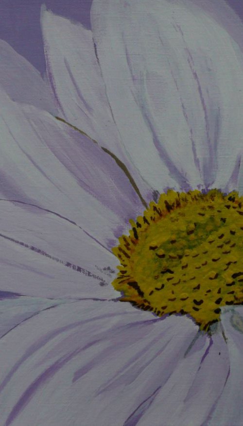 Daisy by Dunphy Fine Art