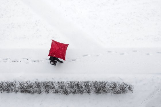 The red umbrella