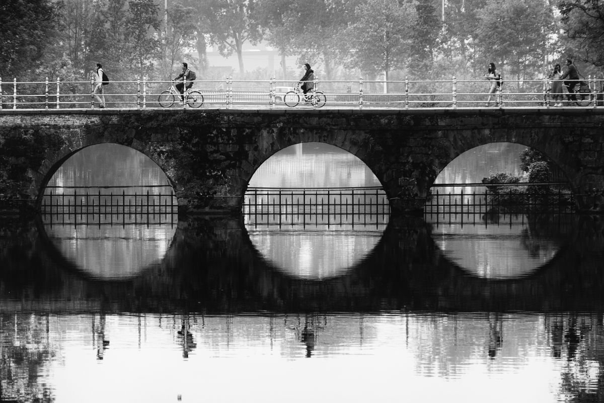 Christian Schwarz | Original  Photograph | You Can't Escape The Symmetry Of Life | 62 X 42Cm | Artwork For Sale On Artfinder