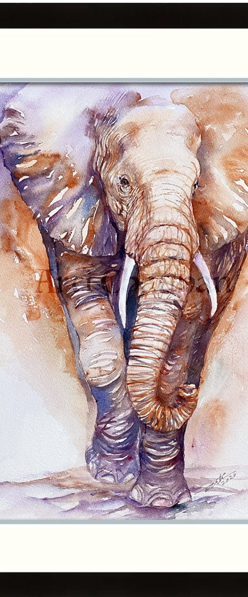 Elephant Elon by Arti Chauhan