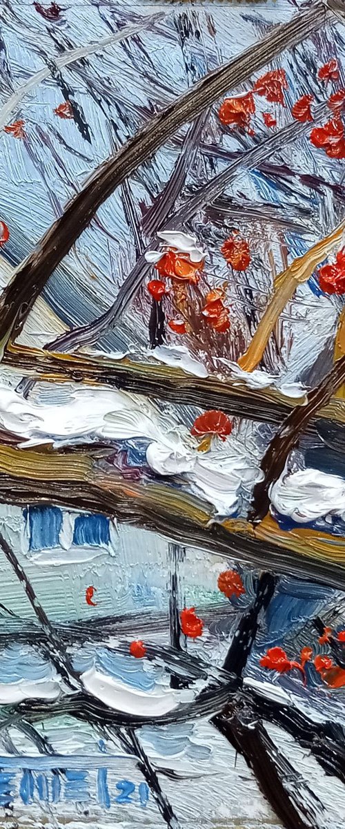 Red Rowan Berries Under Snow by Ion Sheremet