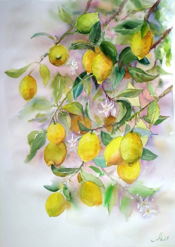 Lemon tree