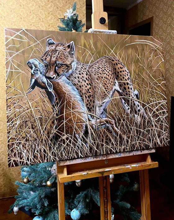 Cheetah carries off a Thomson's gazelle