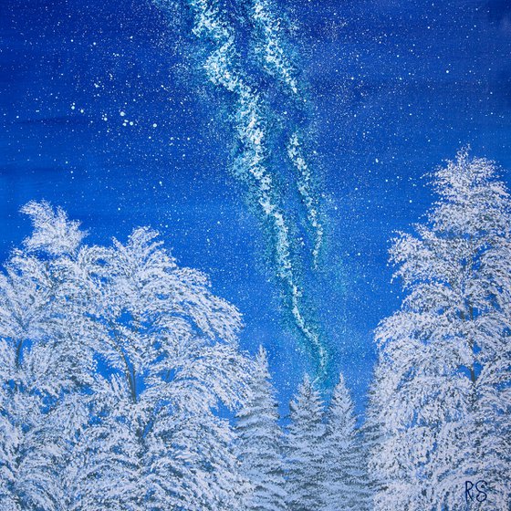 Snowy forest december night