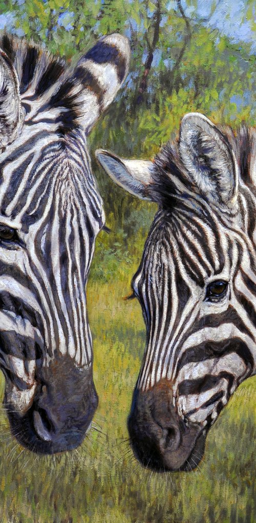 Zebras in the thick bush by Gabriel Hermida
