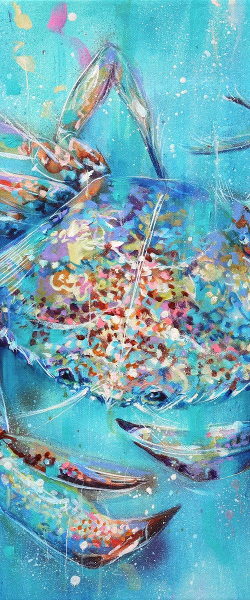 Rockpool by Sian Storey