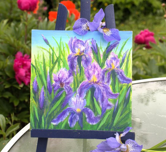 Irises