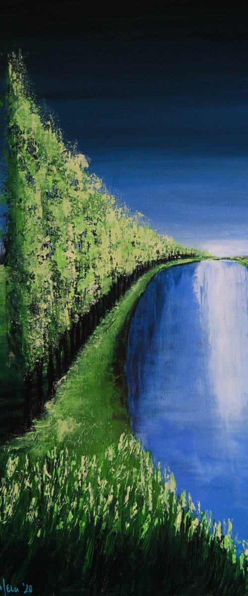 Spring Lines - Fields and Colors Series by Danijela Dan